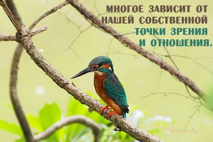 16 Висловів далай лами, які змінять ваше мислення