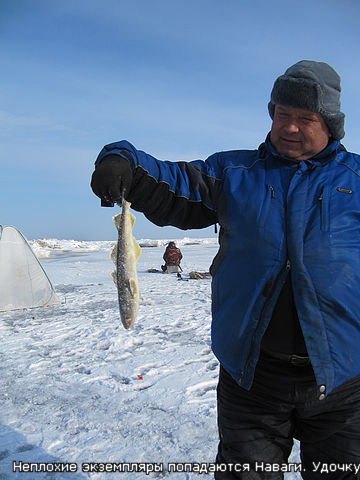 17 februarie 2011, râurile din Rusia, Sakhalin, pescuit în diferite părți ale țării noastre - un club de pescar și