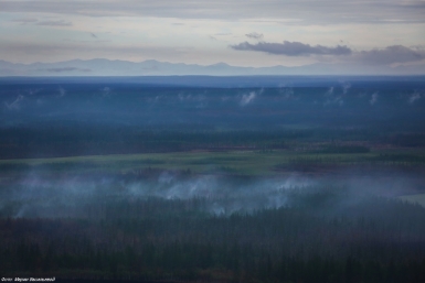 18 Persoane implicate în producerea incendiilor forestiere, revelate în Yakutia