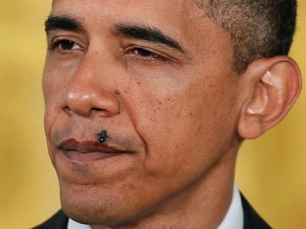 Барак Обама переслідують мухи - гола правда