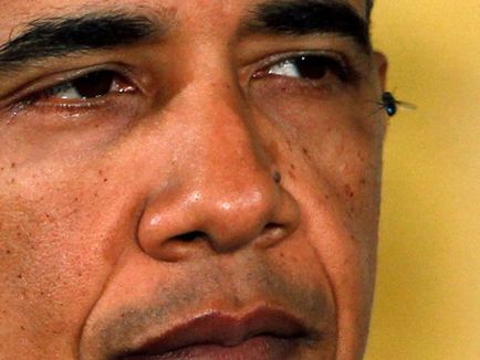 Baraka obama urmărit de muște - adevărul gol