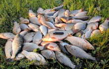 Baze de recreere pe Lacul Chud (pentru recreere cu pescuit)
