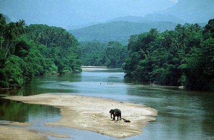 Insula Bentota din Sri Lanka, descriere stațiune cu fotografii de atracții și plaje