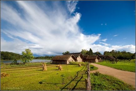 Afaceri în mediul rural