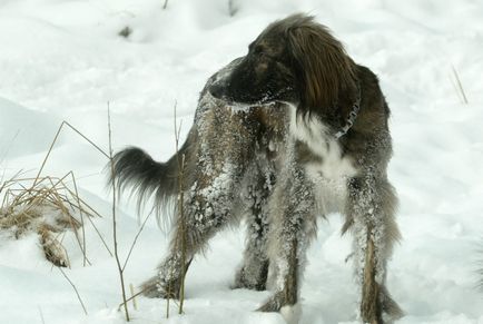 хвороба страху