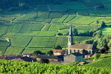 Burgundia (Franciaország) bordó útmutató, minden a bordó