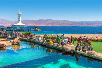Mi a teendő Eilat (do) Mi a teendő Eilat