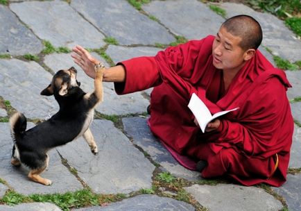 Mit kell tudni, mielőtt menjen Tibetbe, hogy mindenkinek tudnia kell!