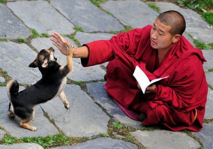 Ce trebuie să știți înainte de a călători în Tibet este ceea ce toată lumea ar trebui să știe!