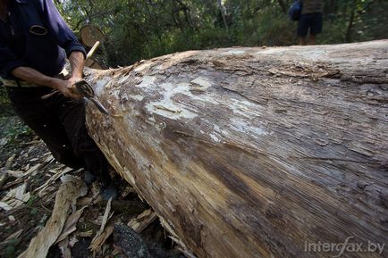 Dedovo artizanat cum se face - chowven-stejar - în conformitate cu tradiția Polissya, portal de informații