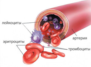 Diagnosticul anemiei