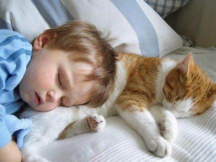 Для чого кішки лягають спати з господарями