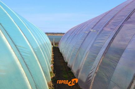 Exclusive - 24 város melegház tőke - a Duna (fotó) - a város 24 - News Izmael (Ismail) Exclusive - 24 város melegház tőke - a Duna (fotó) - a város 24 - Hírek Ishmael