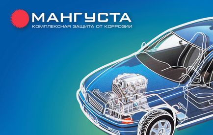 Gazelle - podele din poliuretan si masina din St. Petersburg (St. Petersburg) pret, cost