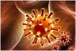 Infecții cu herpesvirus - Centrul științific și practic Moscova de dermatovenerologie și cosmetologie