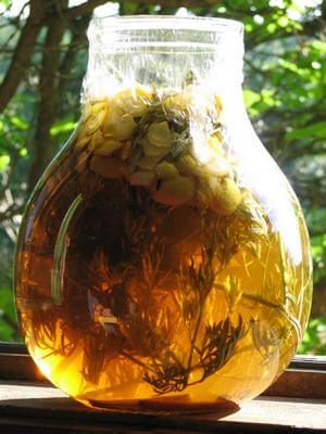 Felkészülés vermut az otthoni (feltételek) Felkészülés vermut az otthoni