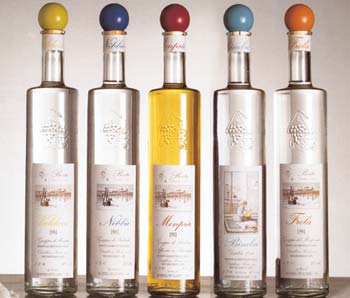 Grappa berta