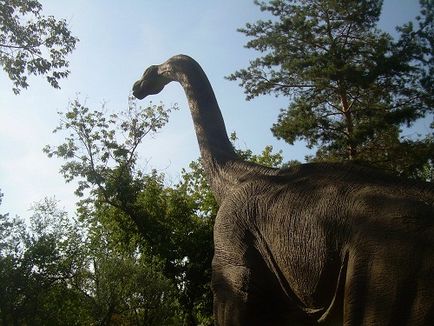 Цікаві факти про динозаврів, топ факти