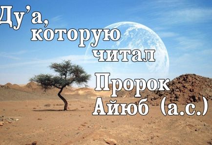 Ісламська лінія довіри я програю боротьбу зі своїм нафс