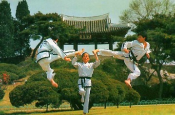 Istoria Taekwondo