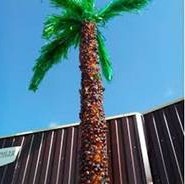 Făcând palme din sticle de plastic, DIY pe (palmieri) Făcând palmă din sticle de plastic, fă-o