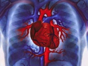 Journal of - the american college of - cardiology, medical insider