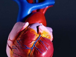 Journal of - the american college of - cardiology, medical insider