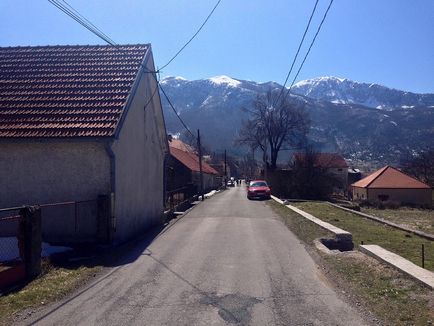 Cum se face prunul Negush în Muntenegru, așa cum se întâmplă