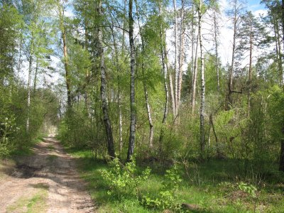 Як екіпіруватися при виході в ліс - ми знаємо, як!