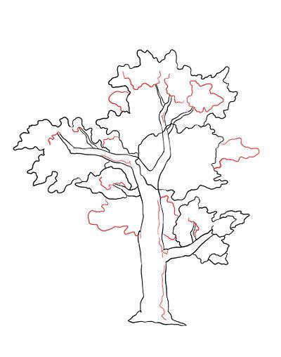 Cum de a desena un copac cu copiii dvs. distractiv și în largul lor