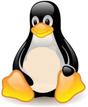Cum să stăpânești Linux rapid