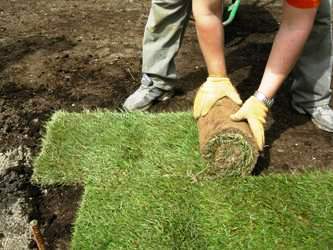 Як переробити газон біля будинку, якщо він не вдалий з мінімумом витрат