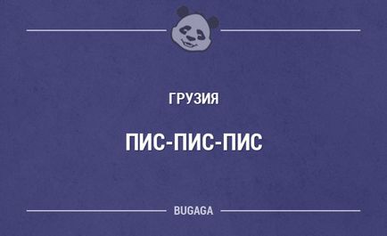 Cum de a apela pisici în diferite țări, mai proaspete - cele mai bune Runet pentru ziua!