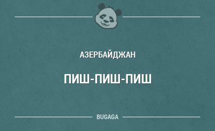 Як кличуть кішок в різних країнах, fresher - найкраще з рунета за день!