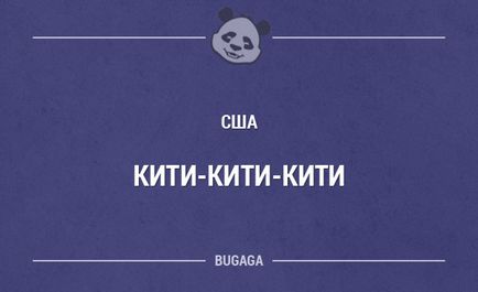 Як кличуть кішок в різних країнах, fresher - найкраще з рунета за день!