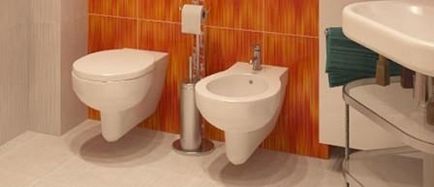 Cum să utilizați Bidet Basics