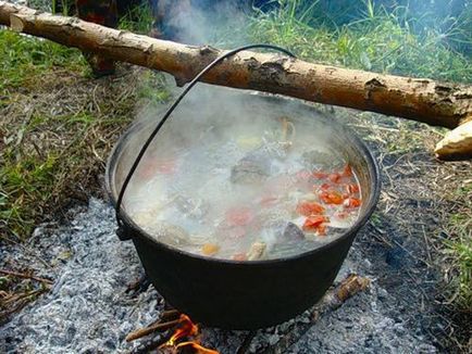 Cum să gătești știucul în natură - rețete bune de la un pescar
