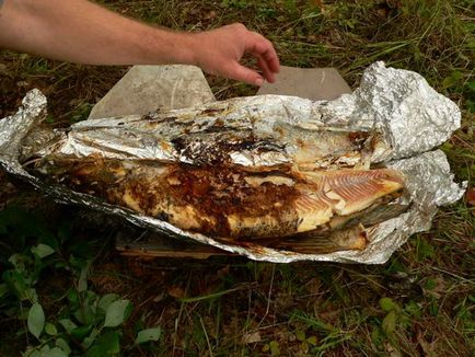 Főzni a csuka a természetben - jó recept a halász (szakács) Főzni a csuka a természetben - jó recept a horgász