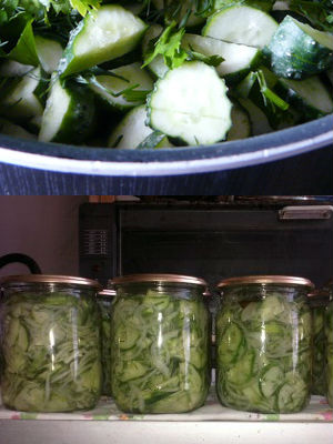 Як зробити салат «ніжинський» з огірків на зиму 9 рецептів, новий Домострой