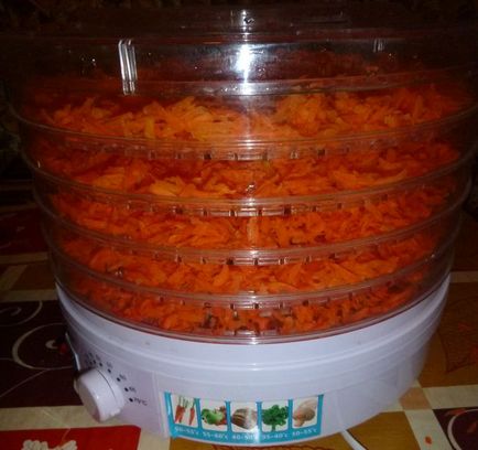 Cum să se usuce morcovi - dulce domiciliu favorit