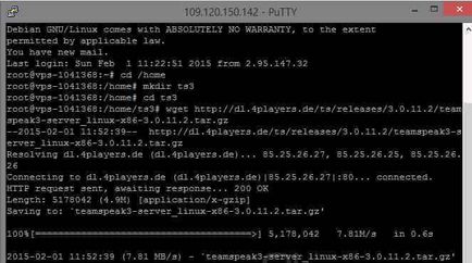 Cum se instalează serverul teamspeak3 în debian, ubuntu, configurând serverele Windows și linux
