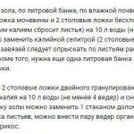 Як доглядати за полуницею навесні, щоб був хороший урожай, восени, після зими в червні в домашніх