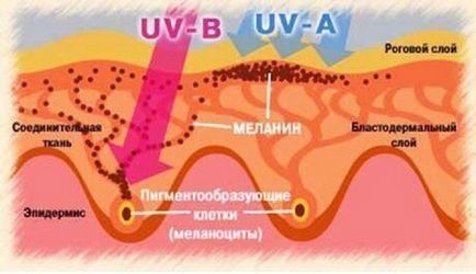 Як вибрати кращий сонцезахисний крем для обличчя