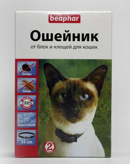 Як витягнути кліща у кота симптоми, ознаки та лікування укусу кліщів у кішок, фото і відео