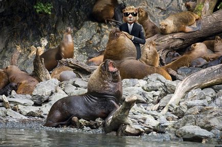 Ahogy mentem a Tierra del Fuego, kószáló