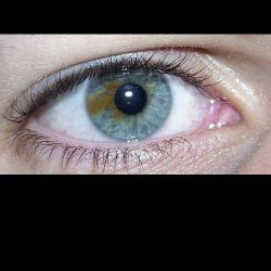 barna szem valójában ... kék!