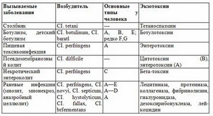 Клостридіоз у людини - корисні статті на health-post