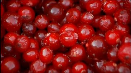 Cranberries pentru dinți și gingii