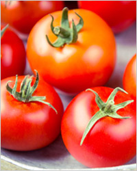 Conservarea tomatelor - ratatouille