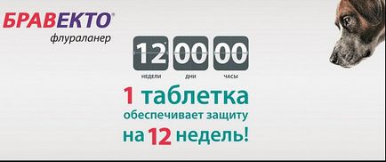Takarmány a kutyák, macskák, állatgyógyászati készítmények (macskák) Takarmány kutyák, macskák, állatgyógyászati készítmények